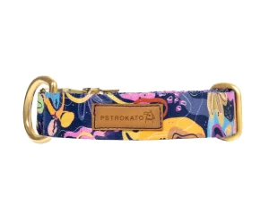 Obroża Pstrokata Dobranocka