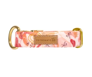 Obroża Pstrokata Pralinka