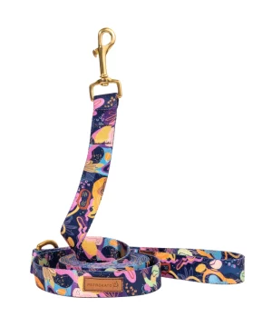 Smycz Miejska Pstrokata Dobranocka