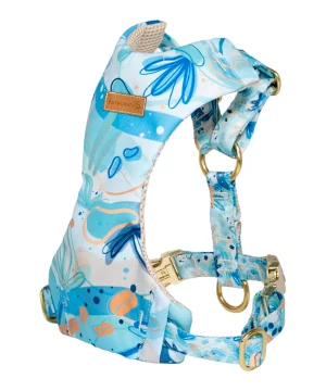 Szelki Bezuciskowe Pstrokata Zatoka