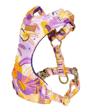 Szelki Bezuciskowe Pstrokata Sasanka